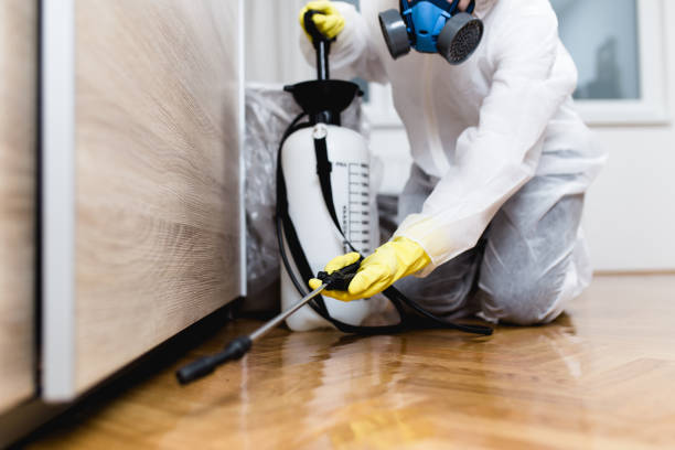 Best Pest Control Treatment  in Yucos, CA