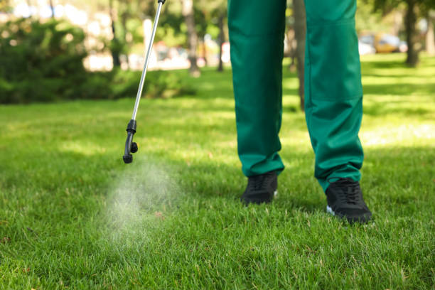 Best Pest Control for Businesses  in Yucos, CA