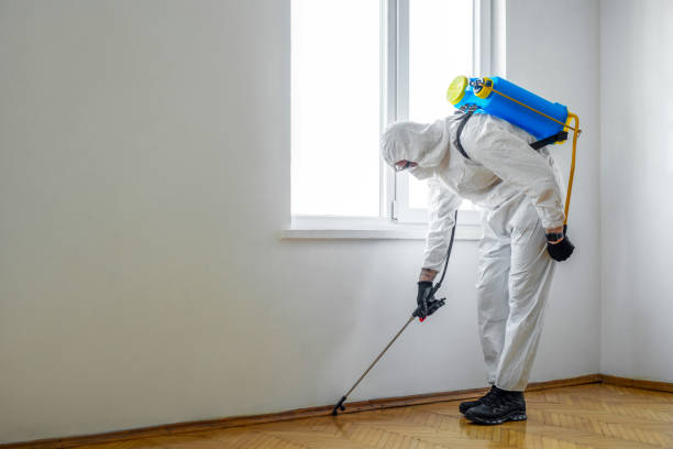 Best Wildlife Control Services  in Yucos, CA