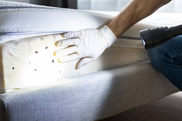 Best Pest Control for Restaurants  in Yucos, CA