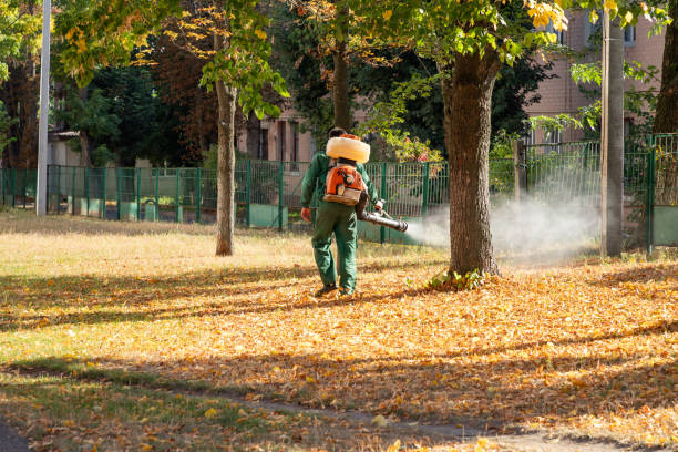 Trusted Cayucos, CA Pest Control Experts
