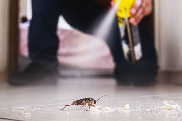 Wildlife Control Services in Cayucos, CA