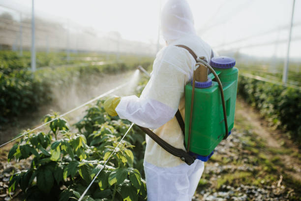 Best Best Pest Control Companies  in Yucos, CA